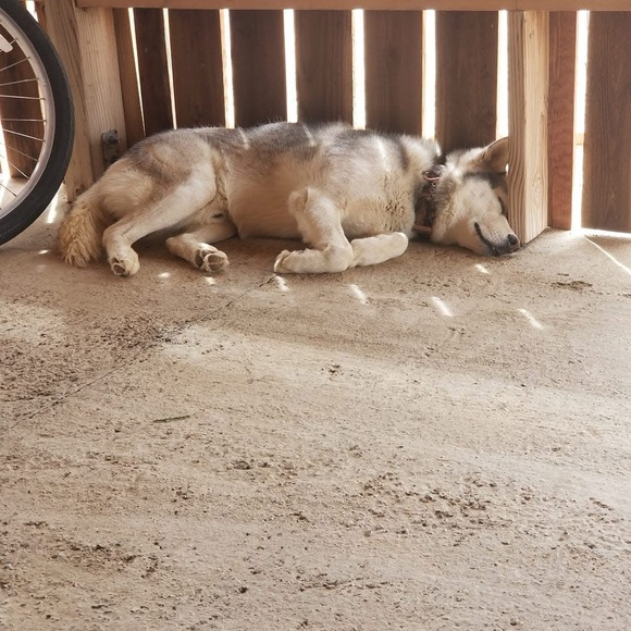 Meet your Posher, Maria - Picture 3 of 4